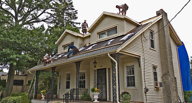 Best Storm Damage Roof Repair  in Browntown, PA