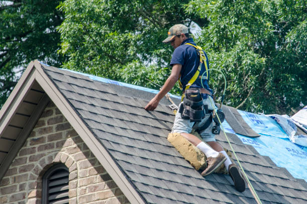 Best Gutter Installation and Roofing  in Browntown, PA